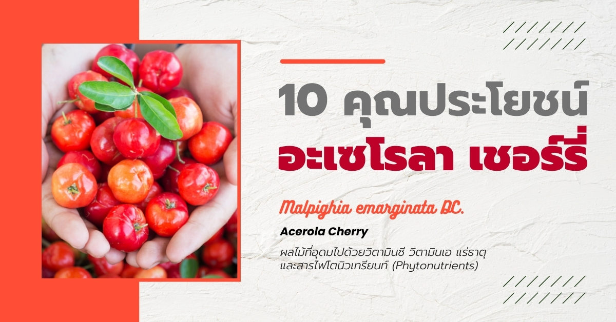 10 ประโยชน์ของอะเซโรลาเชอร์รี่ (Acerola Cherry) ตามงานวิจัย!