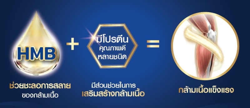 HMB สารช่วยชะลอการสลายและเสริมสร้างกล้ามเนื้อ