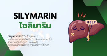 Silymarin (ไซลิมาริน) ยาสำหรับผู้ป่วยที่มีปัญหาเกี่ยวกับตับ