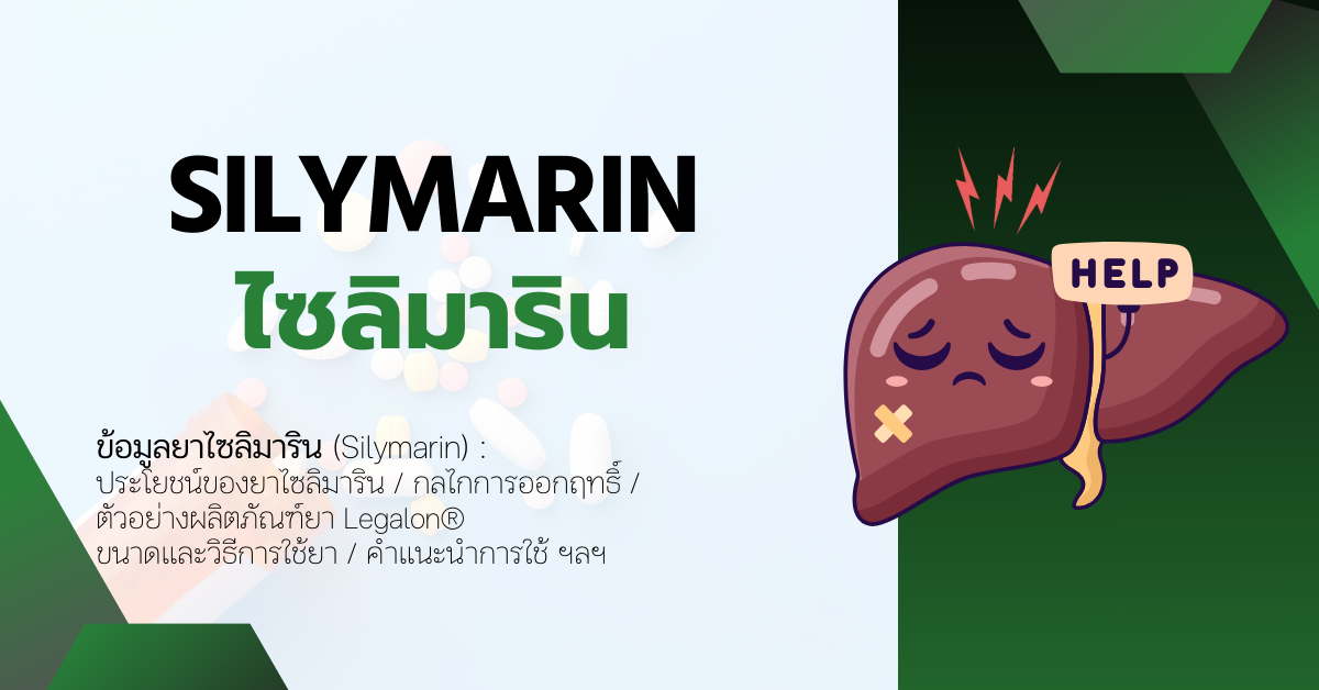 Silymarin (ไซลิมาริน) ยาสำหรับผู้ป่วยที่มีปัญหาเกี่ยวกับตับ