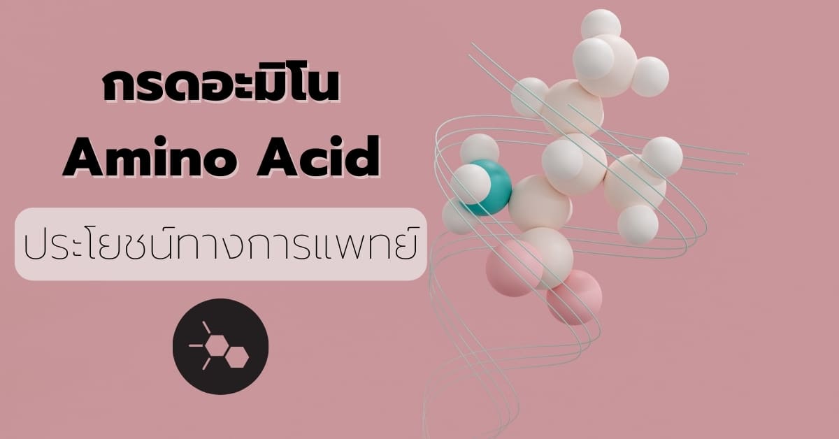 กรดอะมิโน (Amino acid) คือ หน่วยเล็ก ๆ ของโปรตีน