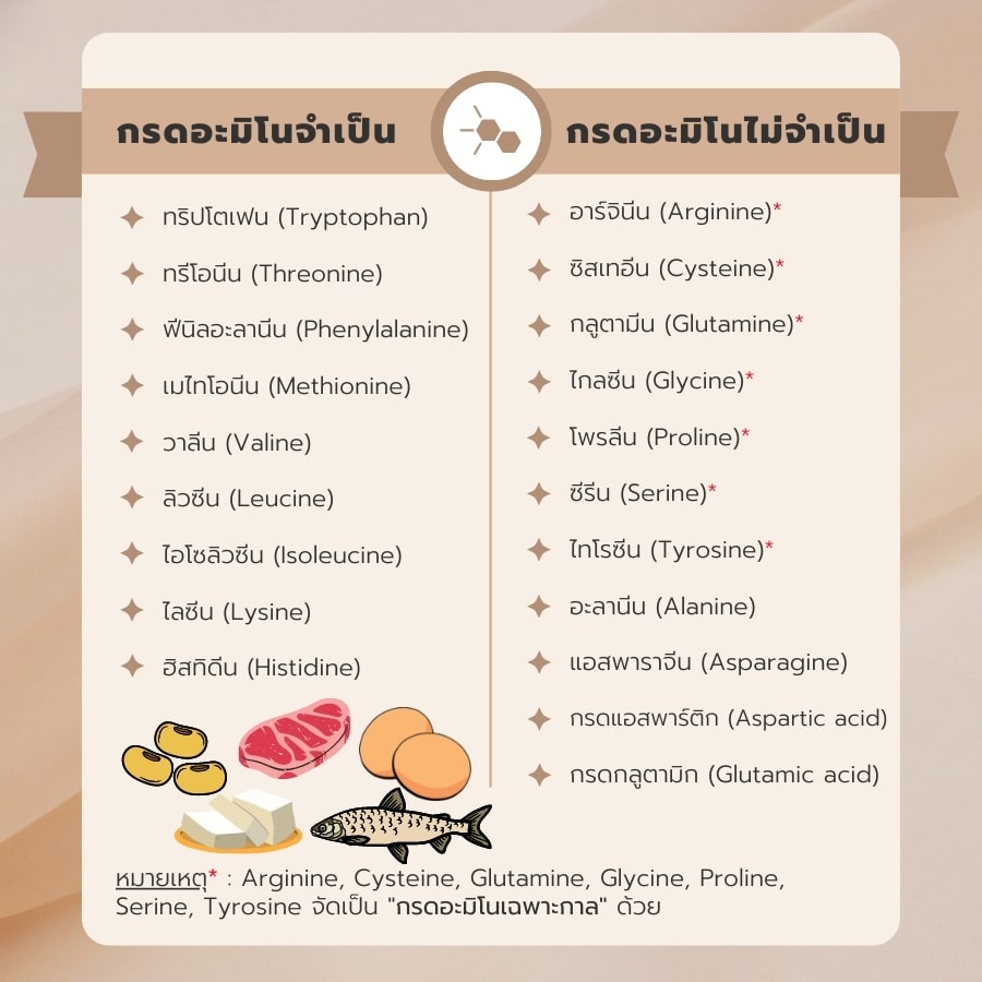 Amino Acid 20 amino-acids-market-size-trends-growth-report-2023-to-2032