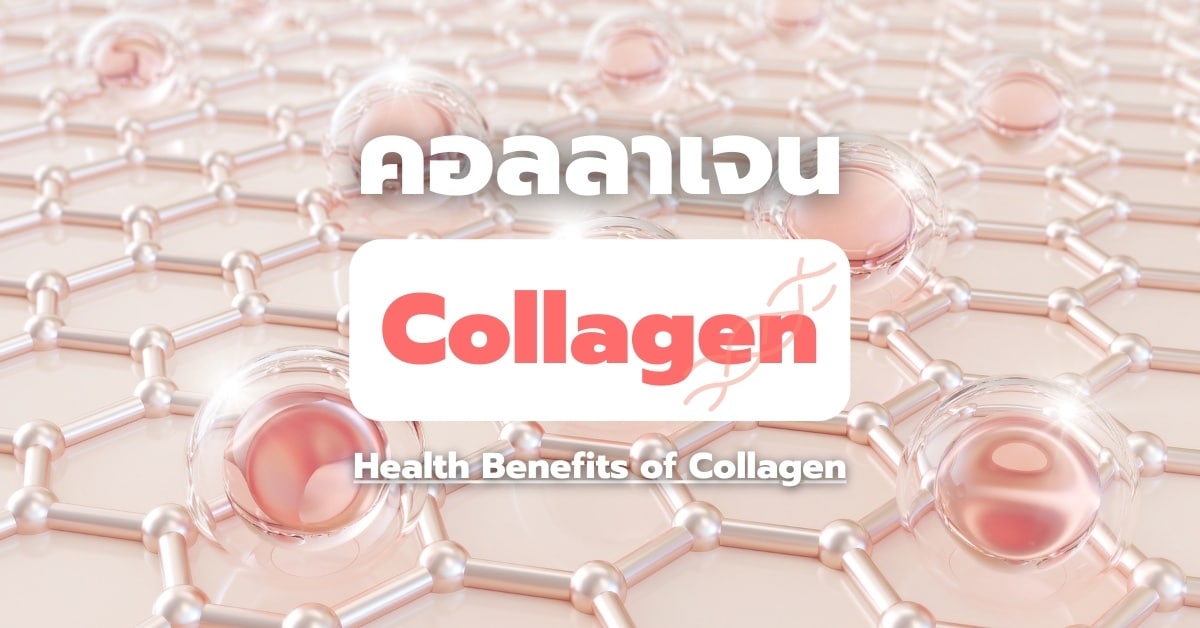 คอลลาเจน (Collagen) กับประโยชน์ทางการแพทย์